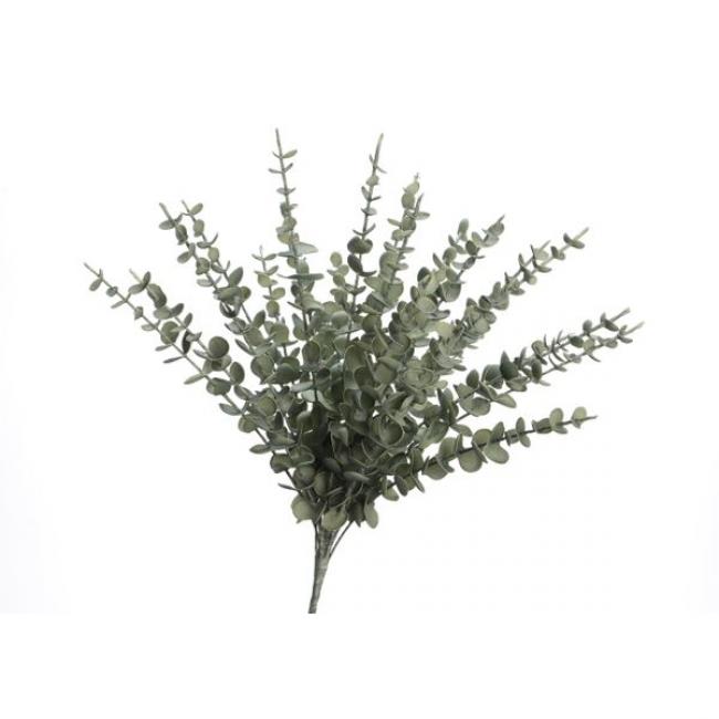 Bouquet eucalyptus vert