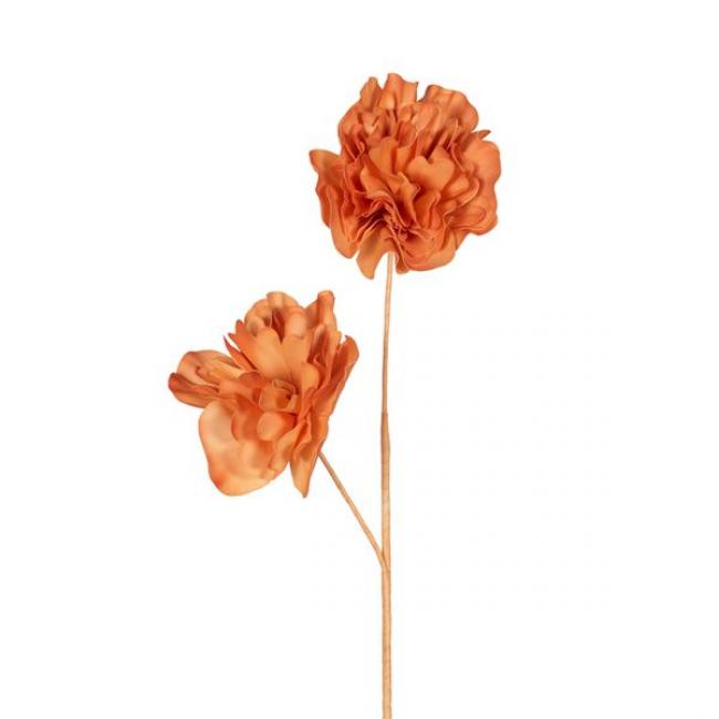 Fleur en Eva Mila p&ecirc;che