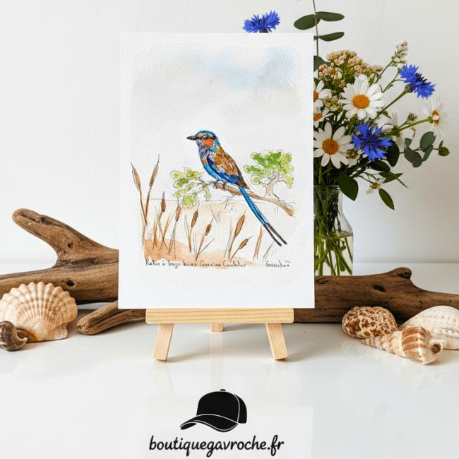 Aquarelle originale Le Rollier Multicolore (Offre 2FOR3) &nbsp;(Coracias caudatus)