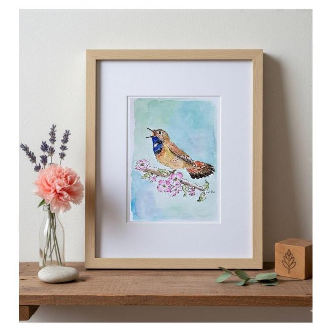 Aquarelle Originale &laquo;&nbsp;Gorgebleue &agrave; Miroir&nbsp;&raquo; (Luscinia svecica) – 20,5×14,8&nbsp;– OFFRE 2FOR3
