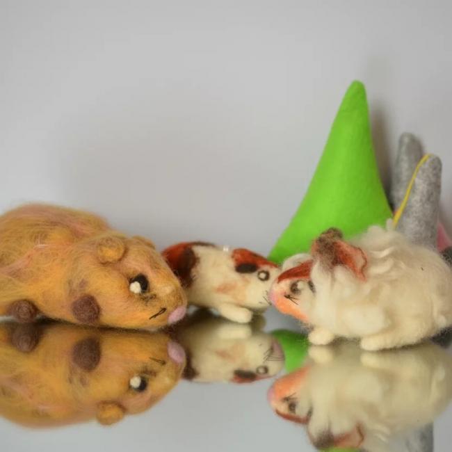 Cochons d&rsquo;inde