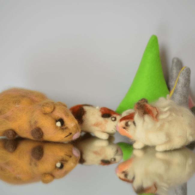 Cochons d&rsquo;inde (frais de port gratuit)