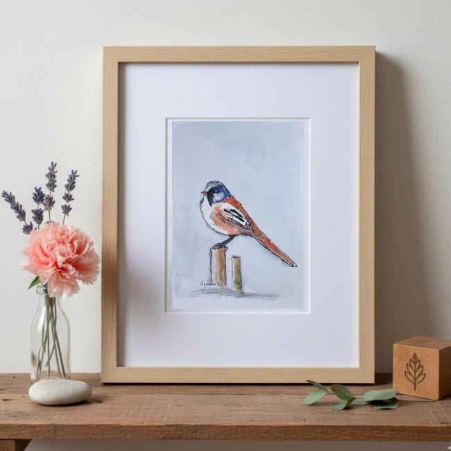 Aquarelle Originale &nbsp;&raquo; Panure &agrave; Moustaches&nbsp;&raquo; – Panurus biarmicus – 20,5×14,8 cm – OFFRE 2FOR3 &agrave; encadrer
