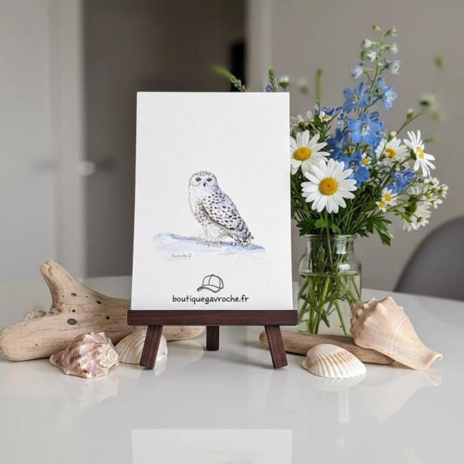 Aquarelle originale Harfang des neiges (Offre 2FOR3) (Bubo scandiacus)