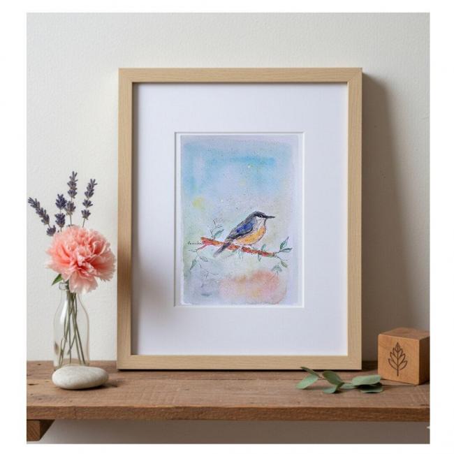 Aquarelle Originale Sittelle Torchepot (Sitta europaea) ( offre 2FOR3) &agrave; encadrer