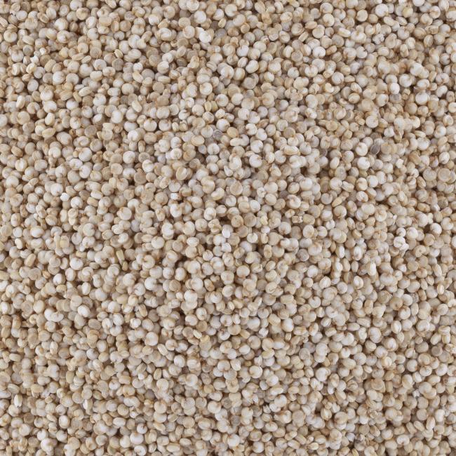 QUINOA HVE