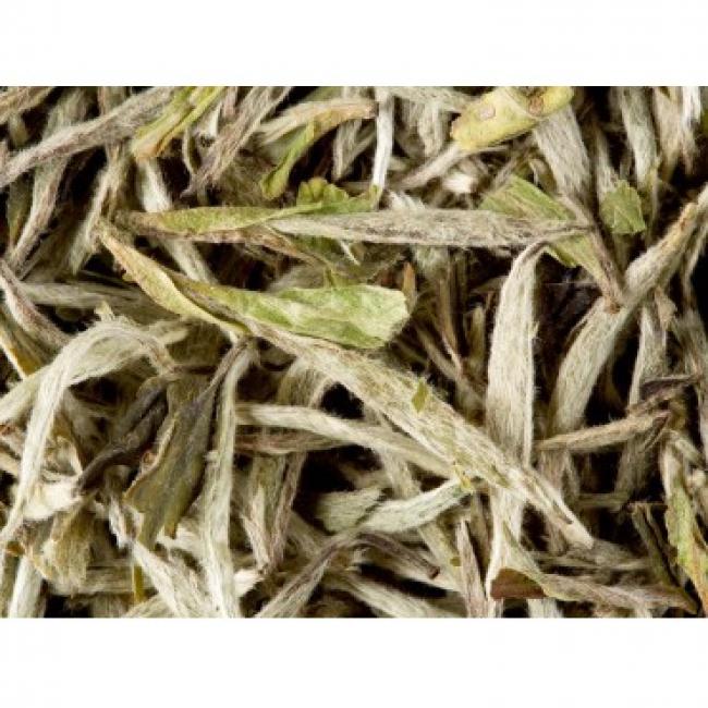 Yin Zen Thé Blanc