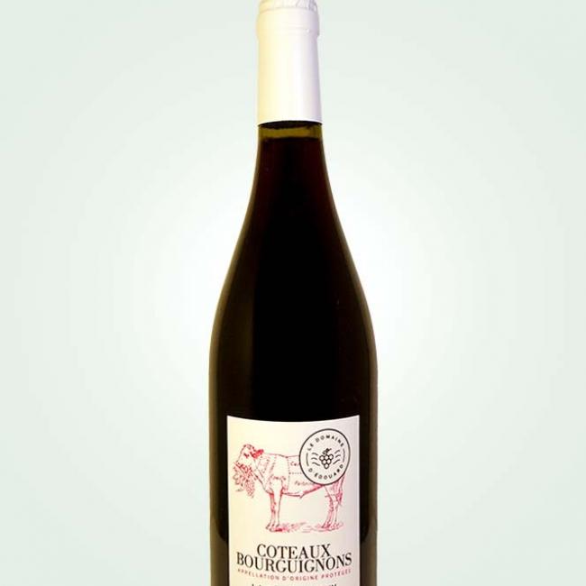 Coteaux Bourguignons 2022 rouge