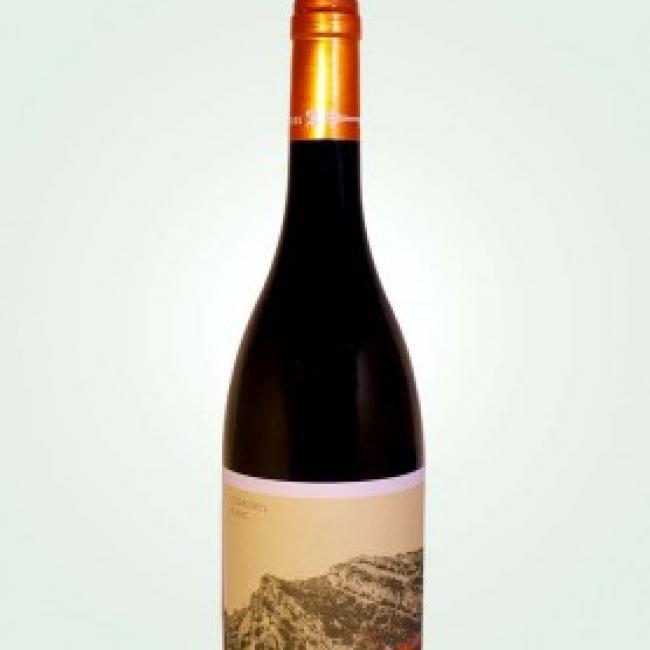Corbières Blanc 2023