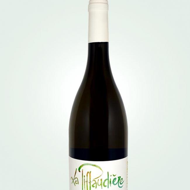 Sauvignon 2023