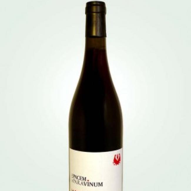 Vinum 2022