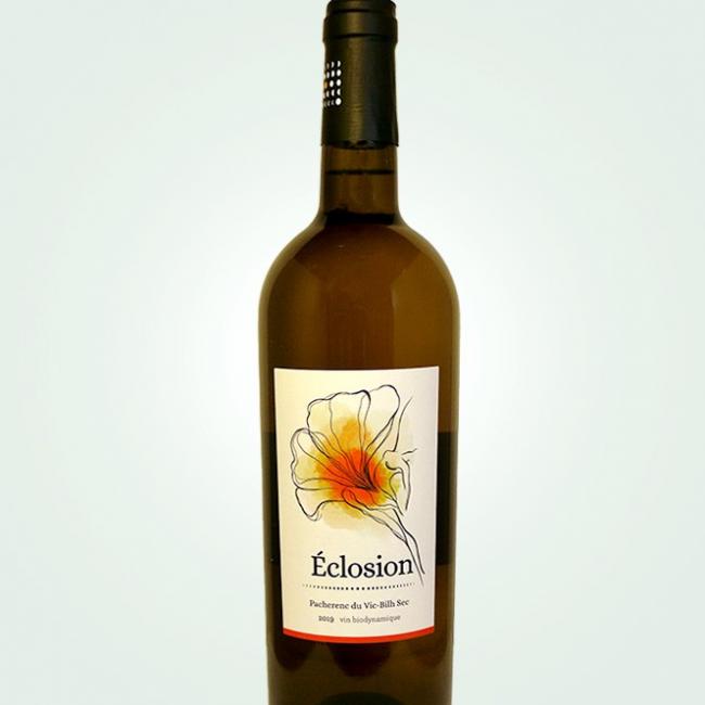 Eclosion 2019