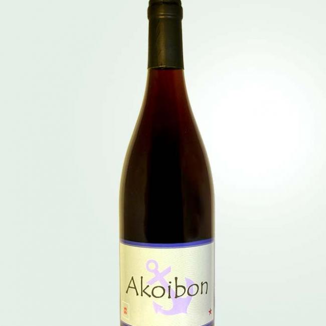 Akoibon 2021
