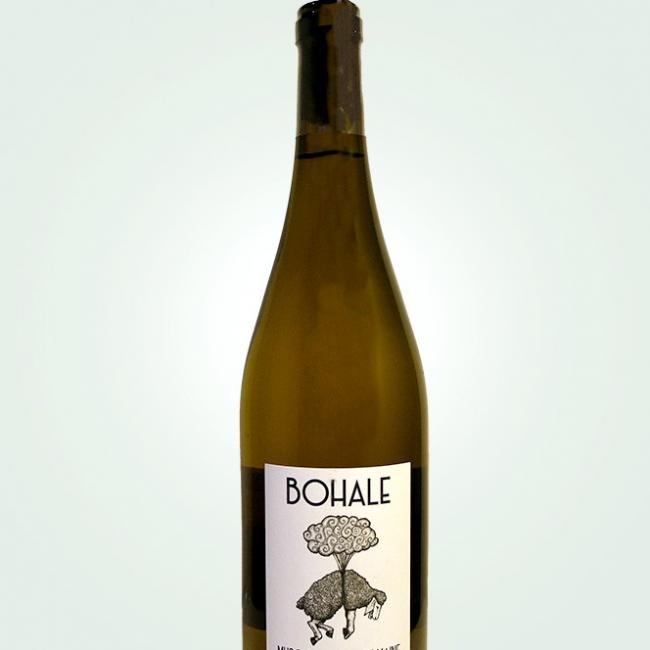 La Bohale 2023
