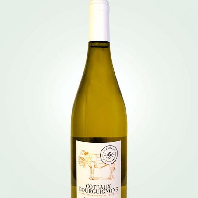 Coteaux Bourguignons 2022 blanc