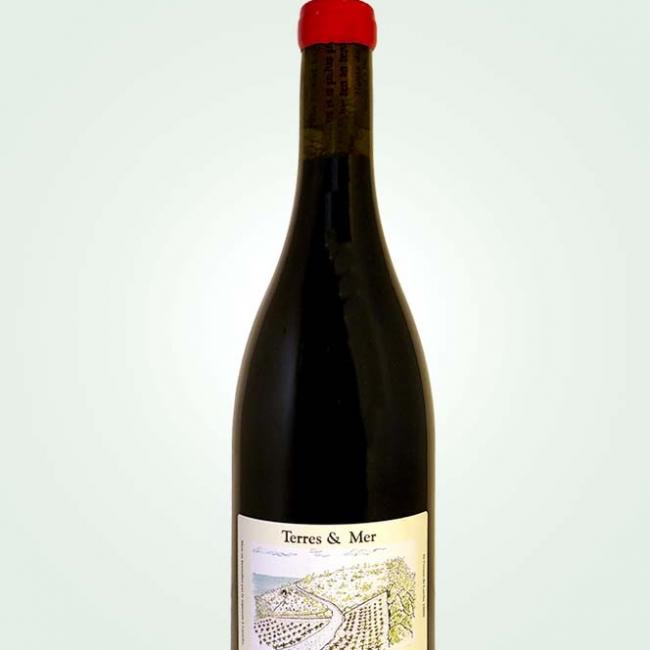 Cuve Inox 2019 Hauts de Paulilles