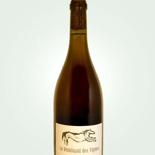 Ruminant des Vignes