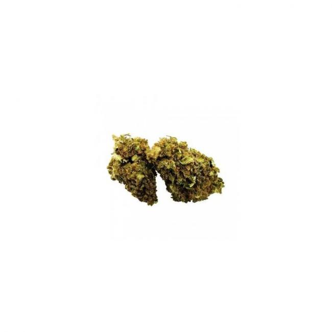Fleurs de CBD GELATO green house