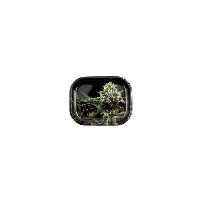 Plateau Og Kush 18X14