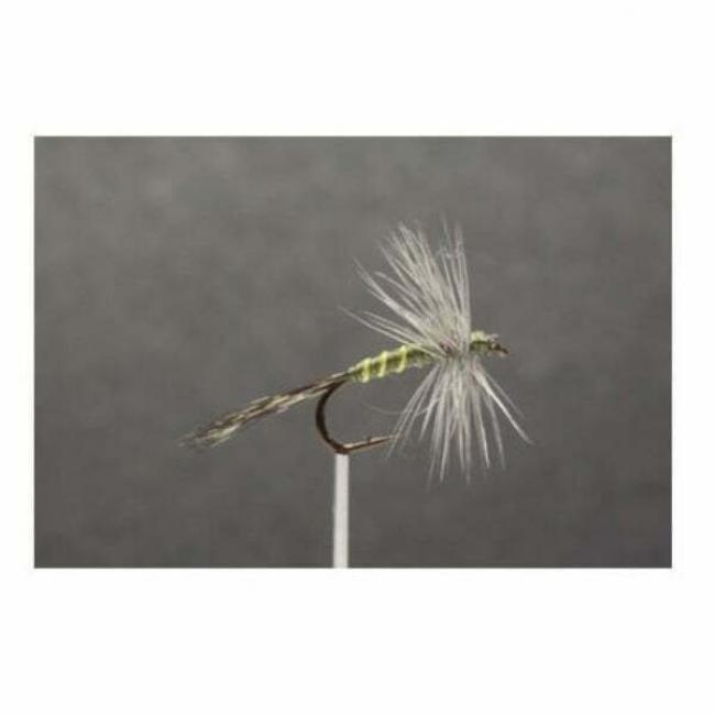 Mouche de Pêche Coq gris du Limousin