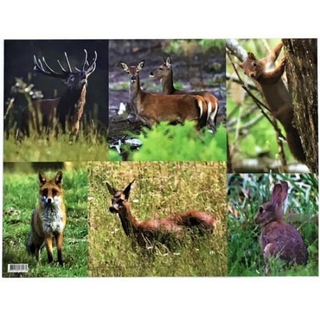 Set de Table plastifié Animaux de Corrèze