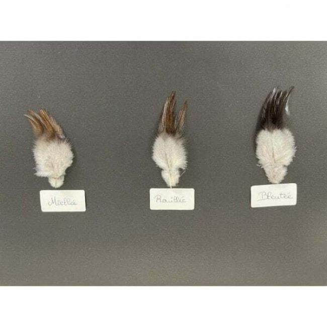Plumes de Coq gris du Limousin Pelles de Dos