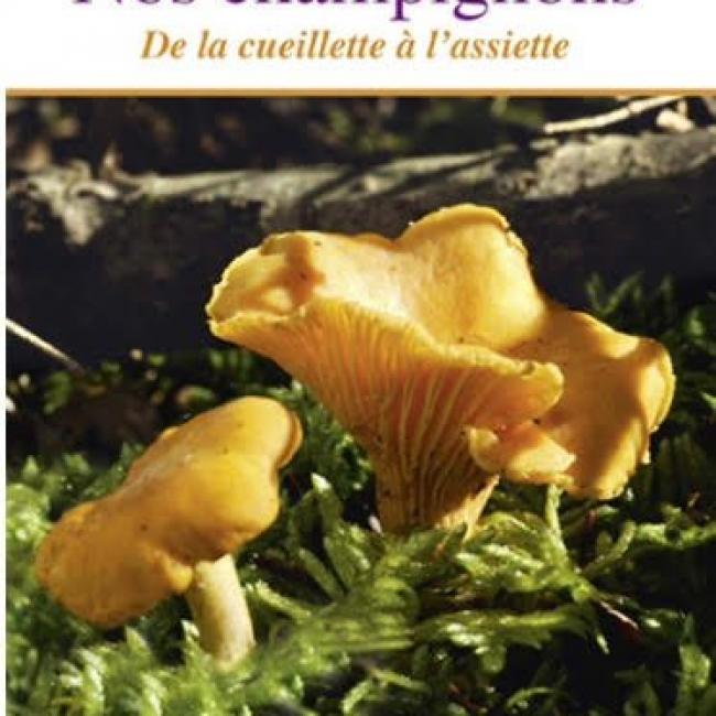 Nos Champignons de la Cueillette à l’Assiette