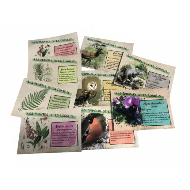 Cartes Postales Animaux et Plantes de la Corrèze