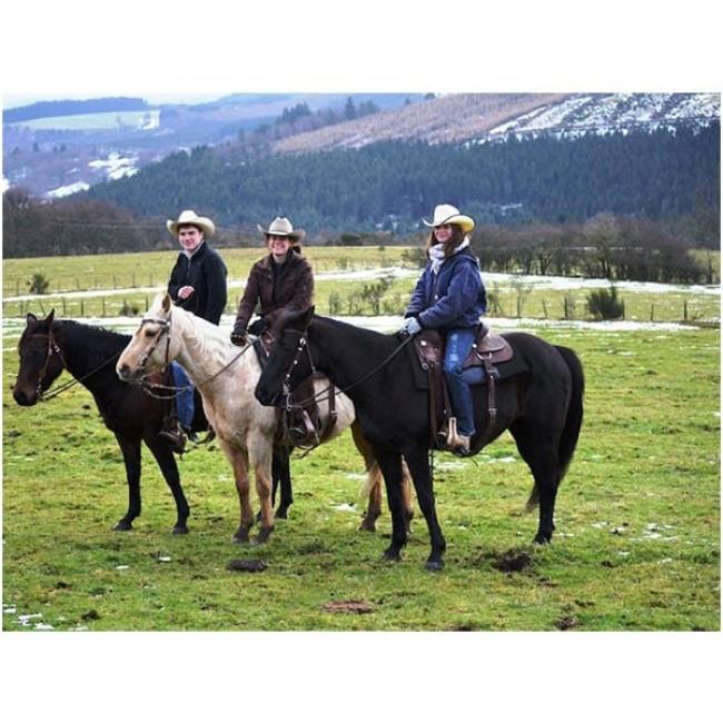 Cours d’Equitation Western