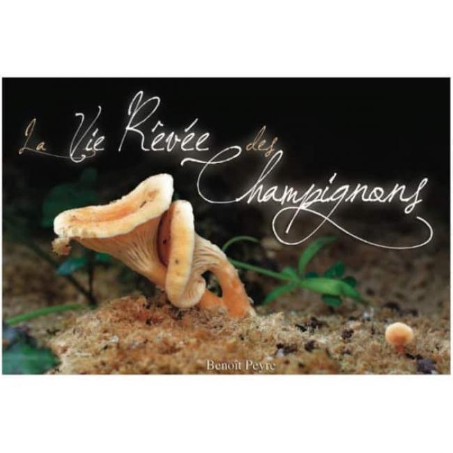 La Vie révée des Champignons