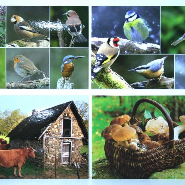 Lot de 4 Cartes postales Nature Corrèze