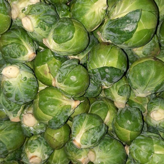 Choux de Bruxelles