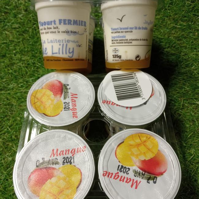 Yaourt sur lit de mangue x4