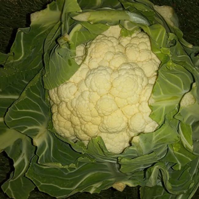 Chou-fleur