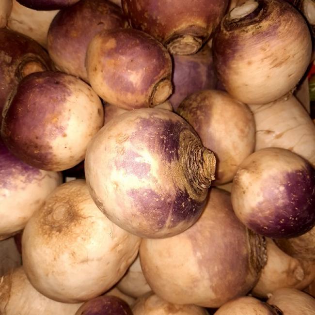 Navet violet