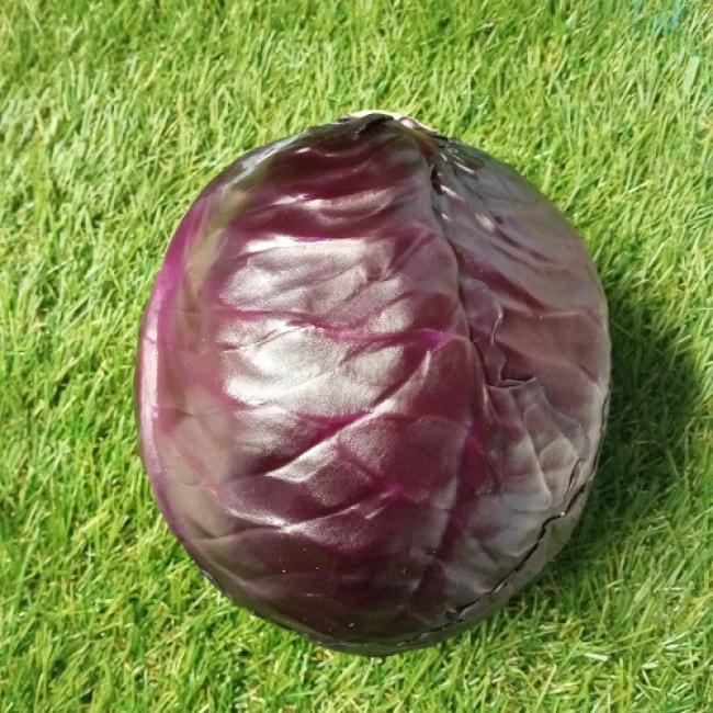 Chou rouge