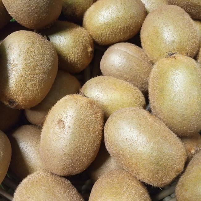 Kiwi BIO