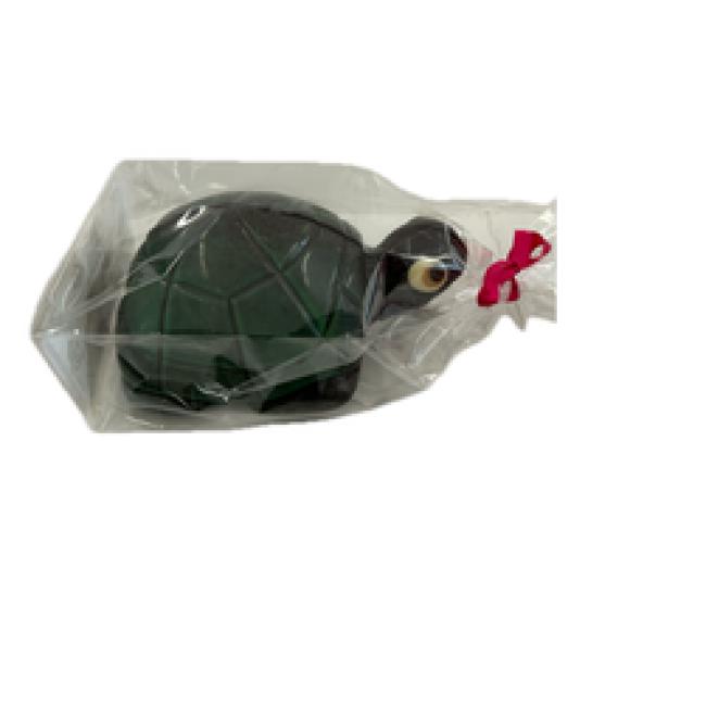 Tortue noir