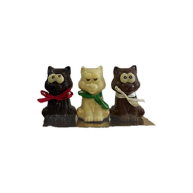 Trio de chatons