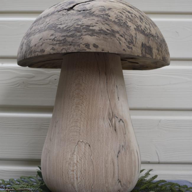 Champignon N&deg;200 Fr&ecirc;ne &eacute;chauff&eacute; et loupe de ch&ecirc;ne