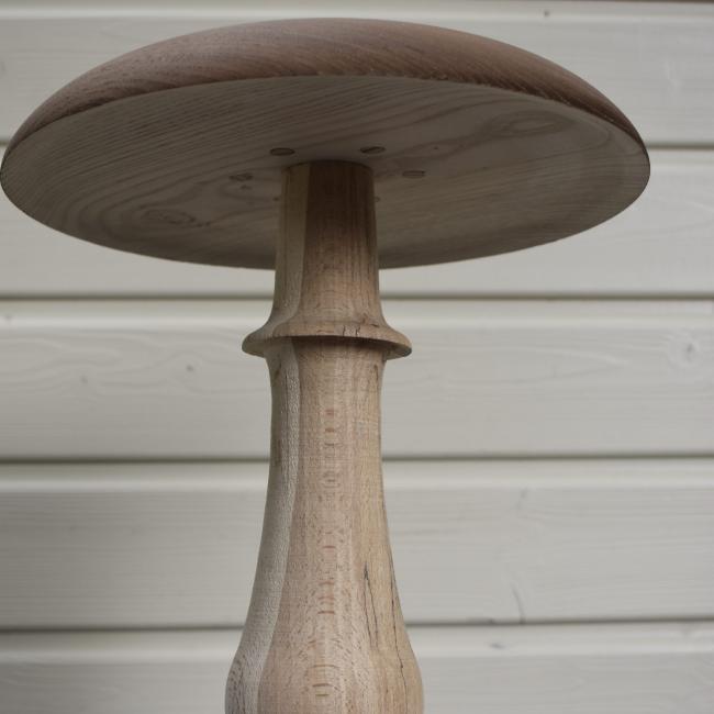 Champignon N&deg;06 Ch&acirc;taignier, H&ecirc;tre &eacute;chauff&eacute; sur socle en corian