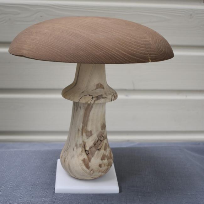 Champignon N&deg;01 Ch&acirc;taignier, H&ecirc;tre &eacute;chauff&eacute; sur socle en corian
