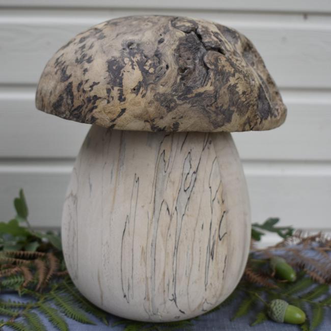 Champignon N&deg;50 Fr&ecirc;ne &eacute;chauff&eacute; et loupe de ch&ecirc;ne