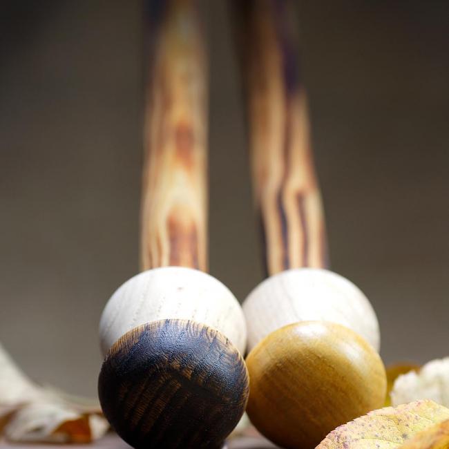 Bâton chercheur champignon