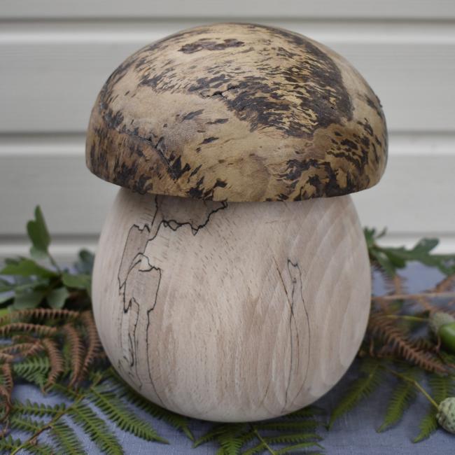 Champignon N&deg;100 Fr&ecirc;ne &eacute;chauff&eacute; et loupe de ch&ecirc;ne