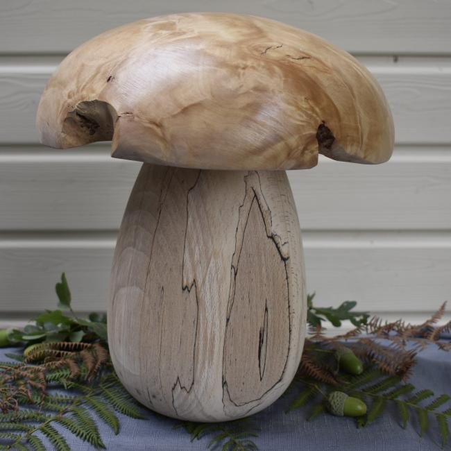 Champignon N&deg;02B H&ecirc;tre &eacute;chauff&eacute; et loupe de bouleau