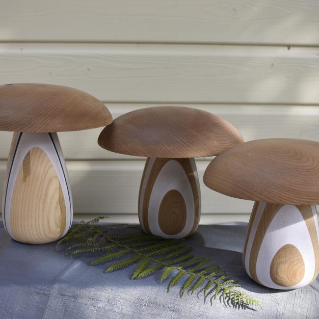 Champignons Ch&ecirc;ne, Ch&acirc;taignier, FOREX blanc 18/23cm ⌀ 20/24