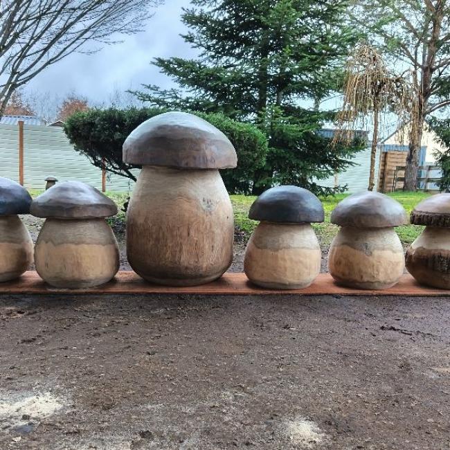 Champignons G&eacute;ants – bois vert