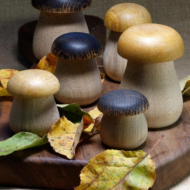 Champignons individuels cèpes