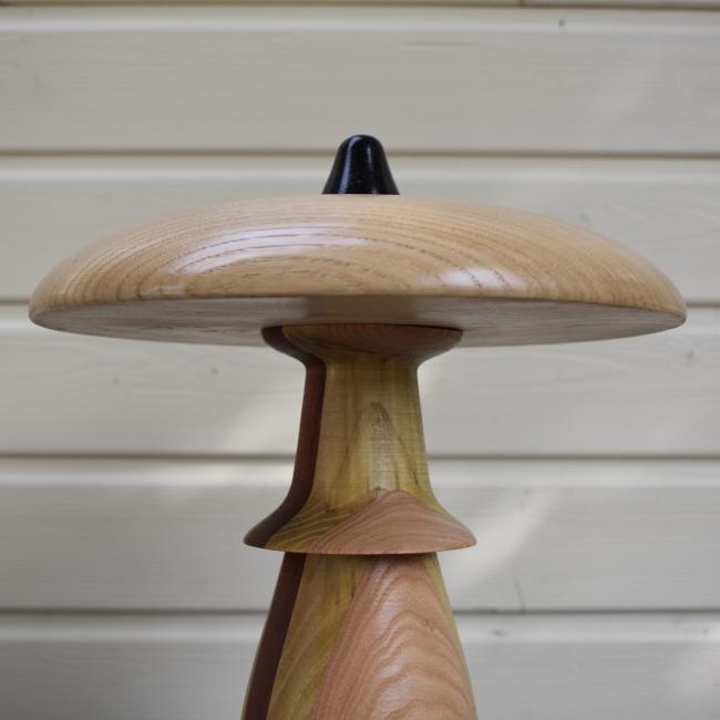 Champignon N&deg;10A Fr&ecirc;ne, Acacia, Padouk, Weng&eacute;, Ch&acirc;taignier sur socle en H&eacute;v&eacute;a